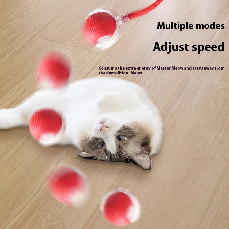 Rechargeable Automatic Interactive Rolling Ball Toy for Cats & Dogs