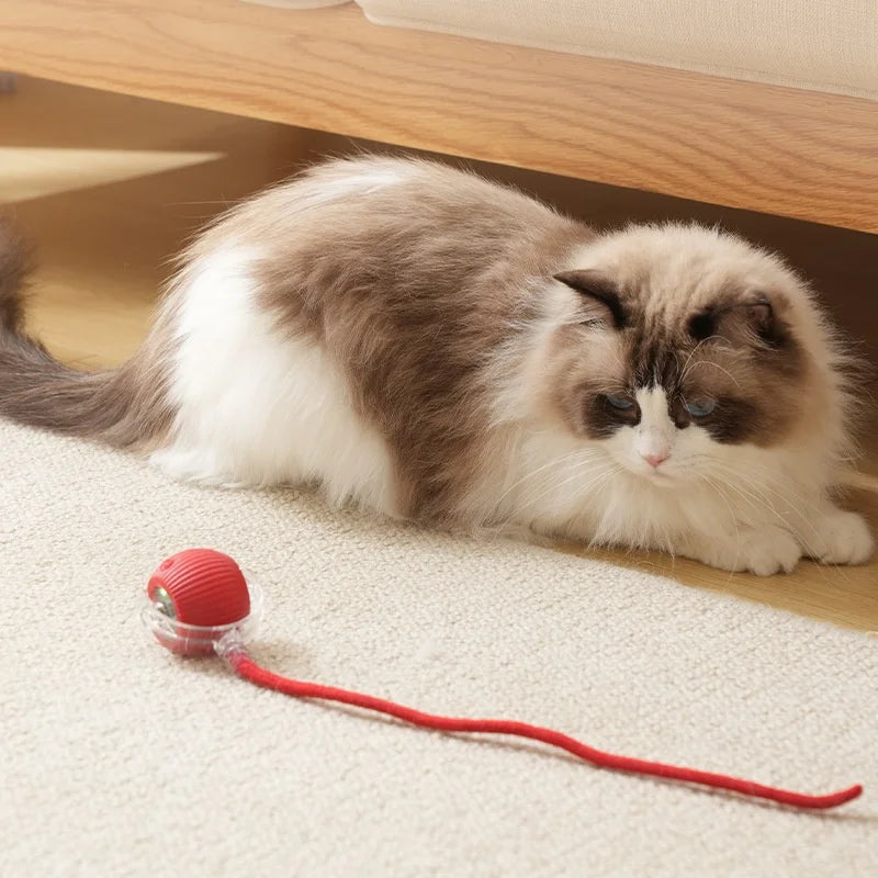 Rechargeable Automatic Interactive Rolling Ball Toy for Cats & Dogs