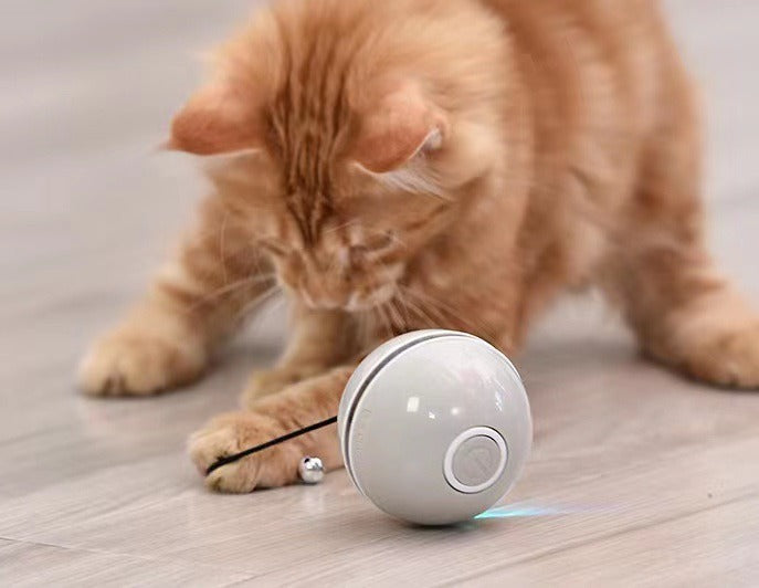 Automatic Smart Cat Toy Ball – USB Rechargeable Interactive Rolling Ball with Feather & LED Light | Motion Sensor Pet Toy for Cats & Dogs
