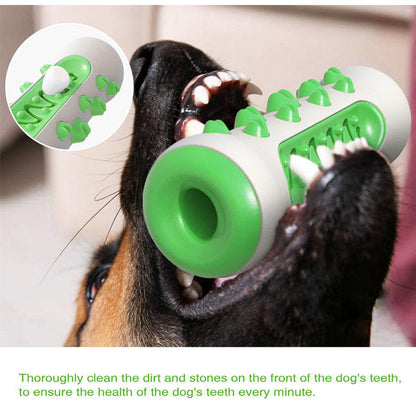Durable Dog Toothbrush Chew Toy – Dental Care, Teething Relief & Interactive Training (TPR + Nylon)