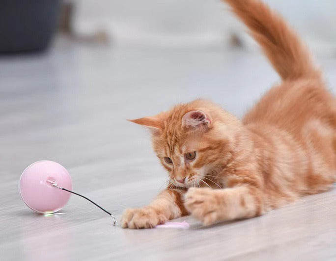 Automatic Smart Cat Toy Ball – USB Rechargeable Interactive Rolling Ball with Feather & LED Light | Motion Sensor Pet Toy for Cats & Dogs