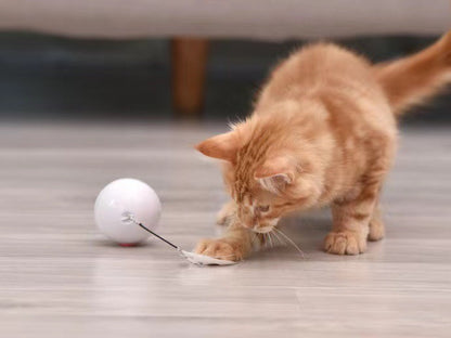 Automatic Smart Cat Toy Ball – USB Rechargeable Interactive Rolling Ball with Feather & LED Light | Motion Sensor Pet Toy for Cats & Dogs