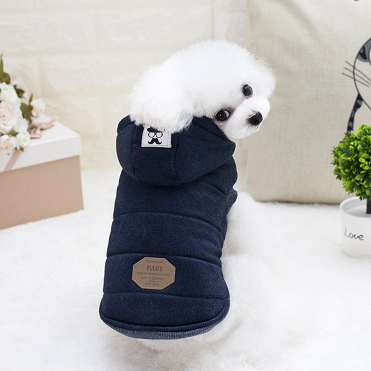 Luxury Winter Cotton Dog Jacket – Ultimate Warmth, Comfort & Style for Your Pup