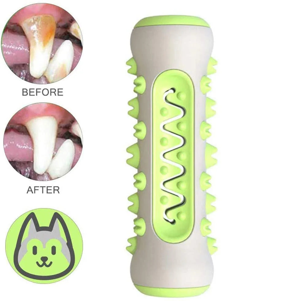 Durable Dog Toothbrush Chew Toy – Dental Care, Teething Relief & Interactive Training (TPR + Nylon)